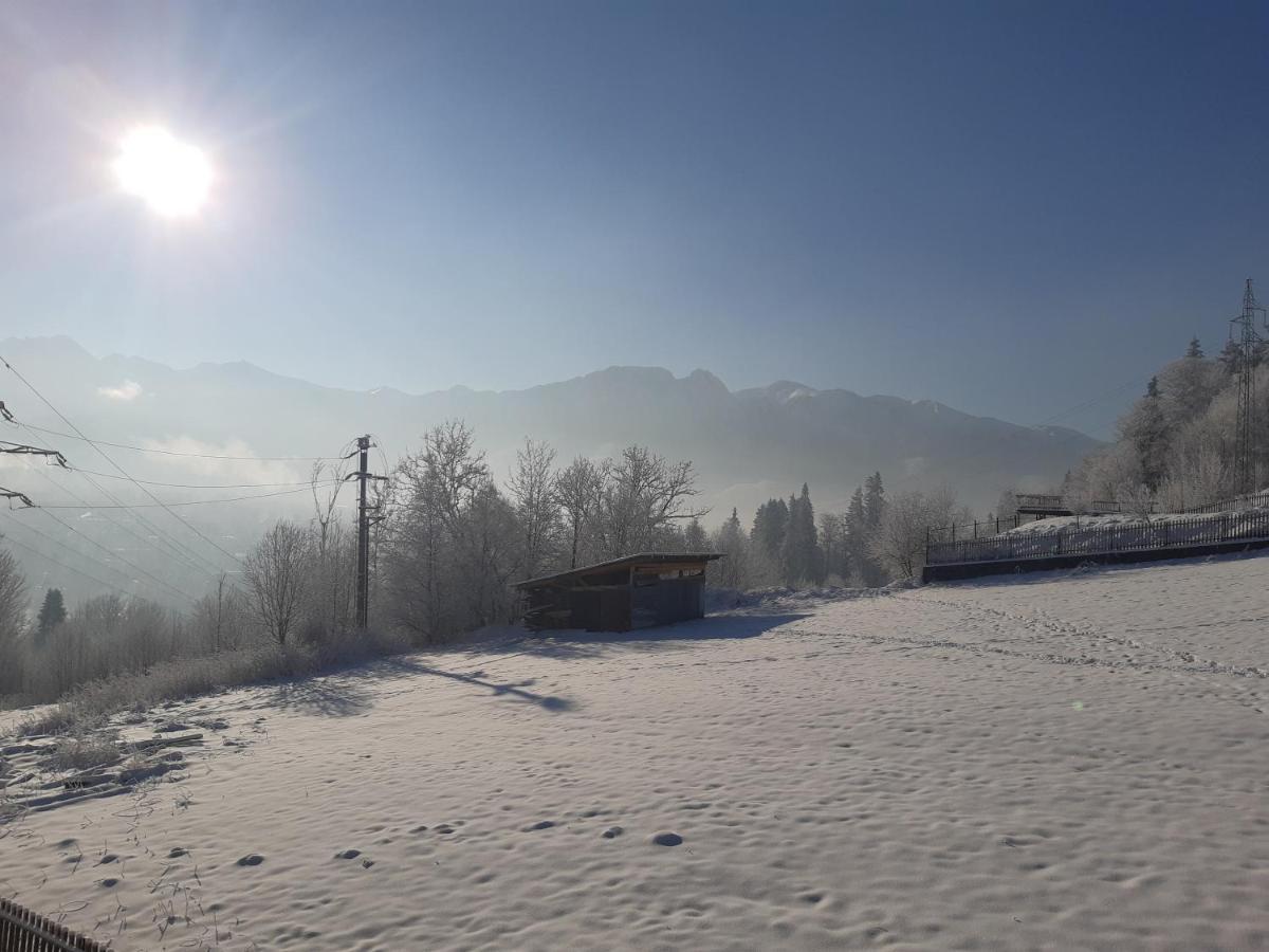 Willa Balamutka Zakopane Esterno foto